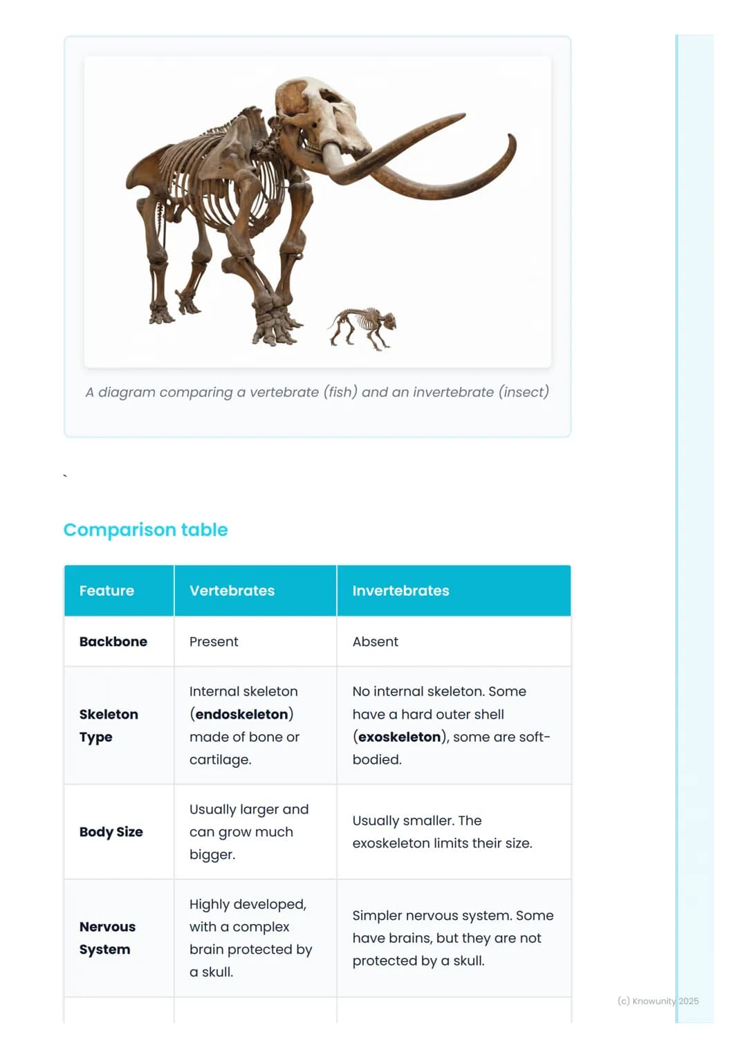 # Vertebrates and
Invertebrates

Introduction to animal classification

All living things are sorted into groups to make them easier to stud